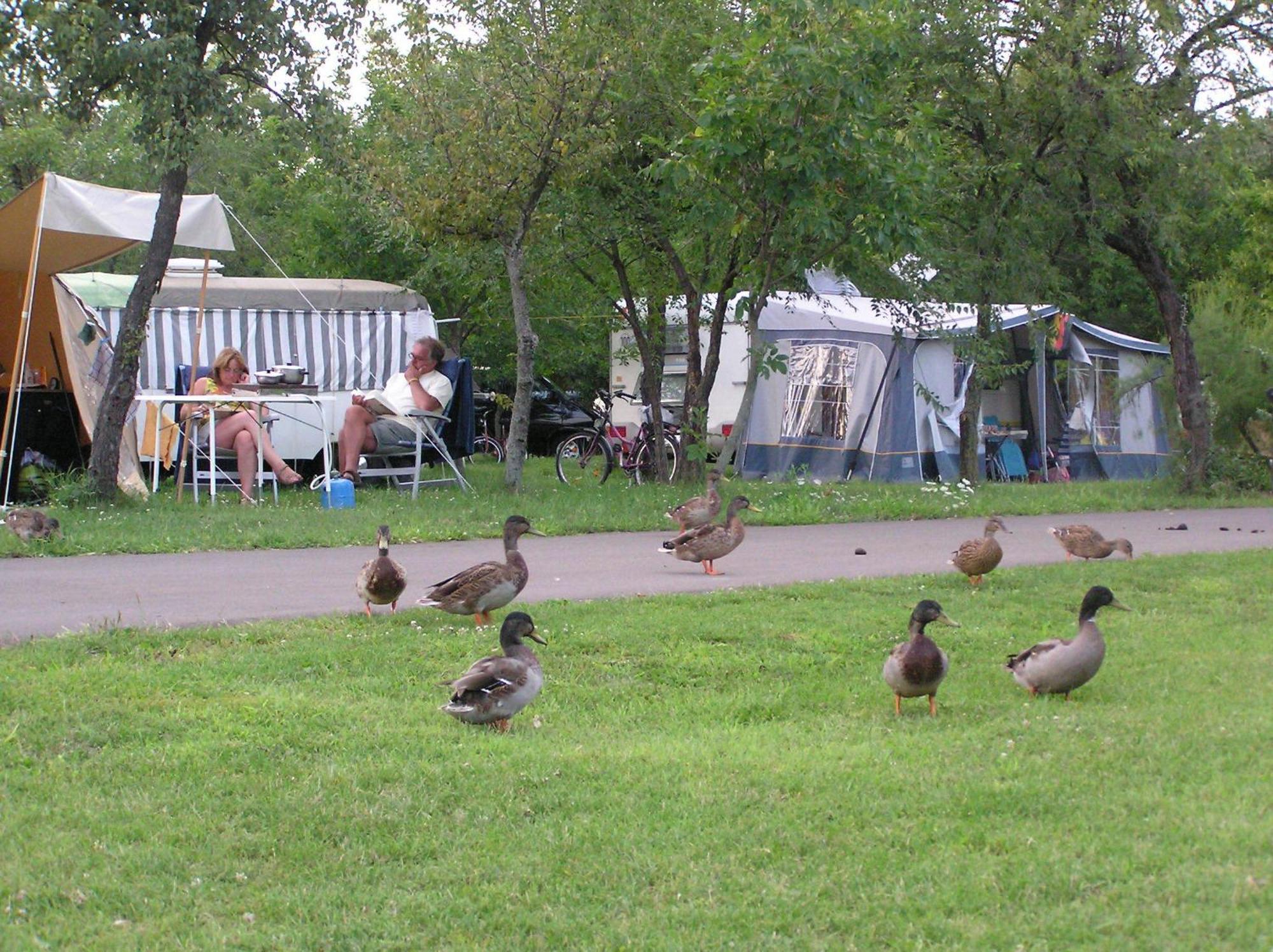 Arnyas Thermal Camping Es Ueduelopark Puspokladany Экстерьер фото